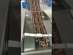 آلة كسر البيض من النوع الرأسي