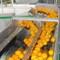 خط إنتاج عصير البرتقال الصناعي الصناعي