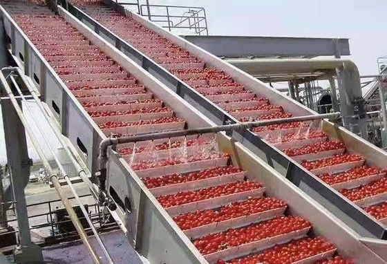 خط معالجة التوت الأزرق المخصص عالي الأداء مصنع إنتاج التوت الأزرق / الفراولة / التوت الأزرق عصير التوت الأزرق / اللب / آلة المربى مع PLC