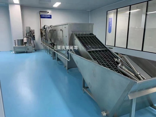 500-30000L / H خط معالجة البيض مخصص مصنع إنتاج البيض الكامل